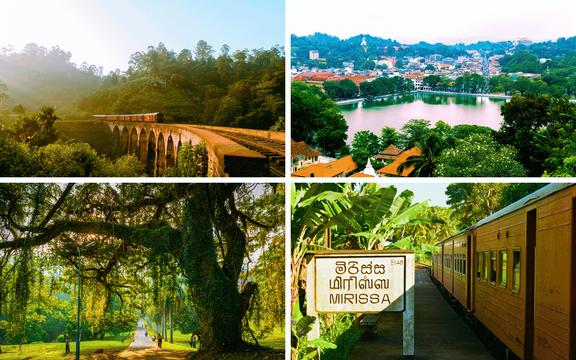 Tea Hills & Beaches Mobile Gallery Tea Hills Beaches 1 WOLO Travel